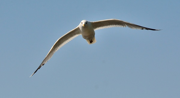 DSC_3457.JPG