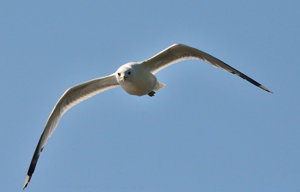 DSC_3463.JPG