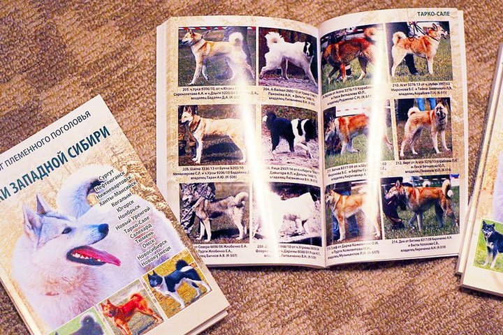 katalog2016_02.jpg