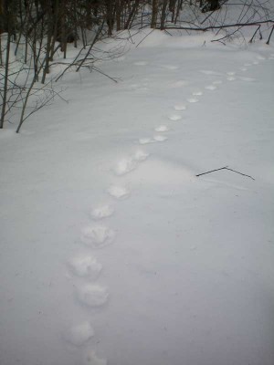 100_0130.jpg