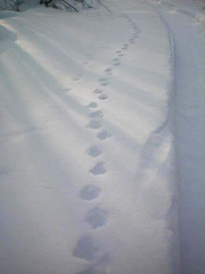 100_0131.jpg