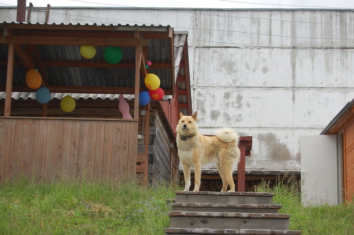 DSC_0080.JPG