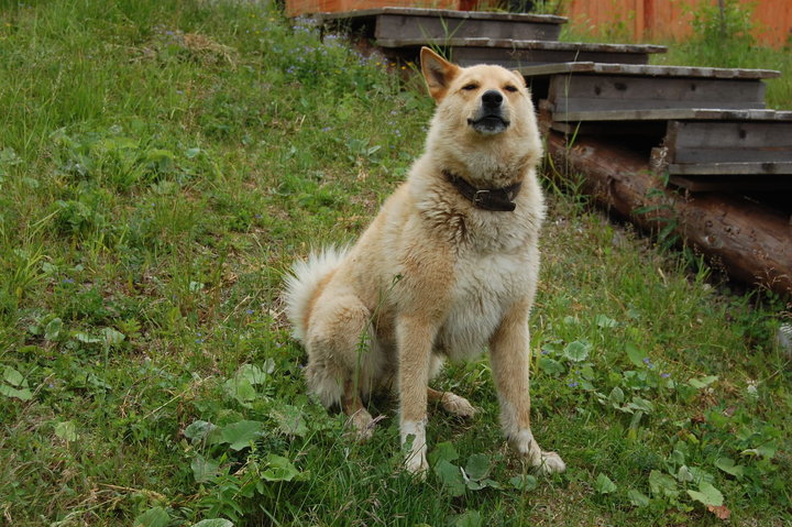 DSC_0084.JPG