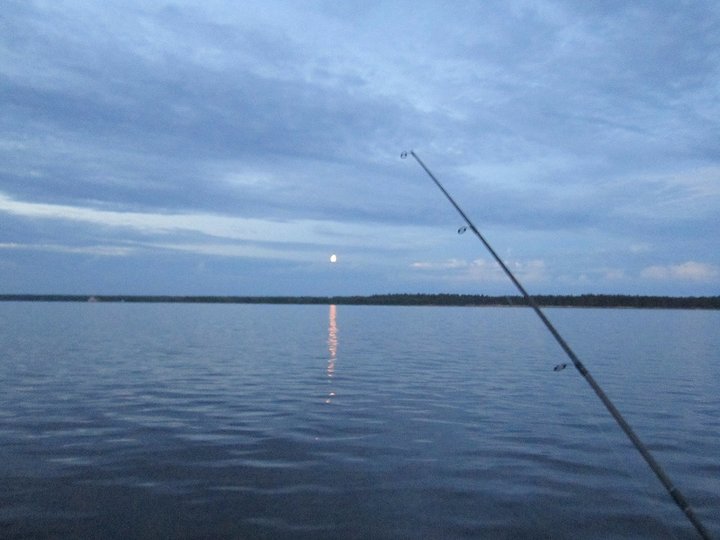 IMG_3840.JPG