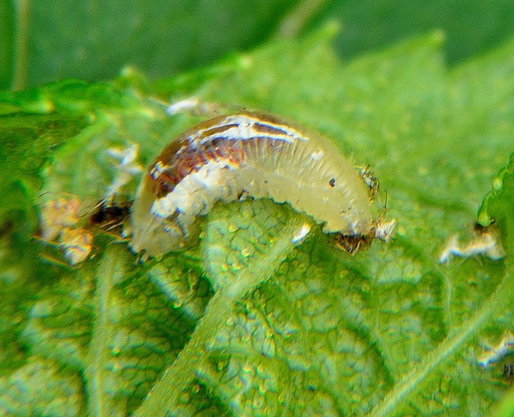 DSC_3549.jpg