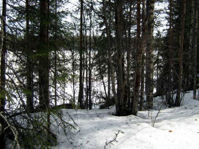 IMG_5287.jpg