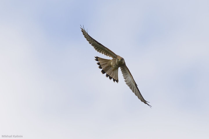 DSC_3244.jpg