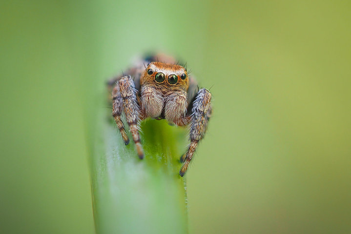 P7270301 1.jpg (141.47 КБ) 5093 просмотра P7270301 1.jpg