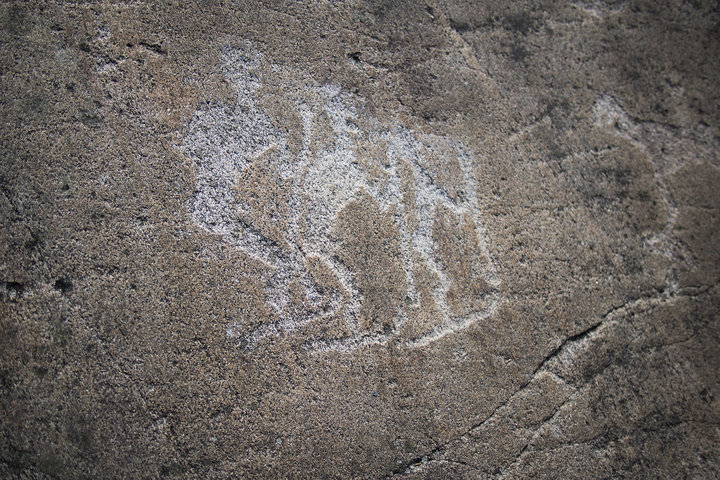 A0006645 1.jpg