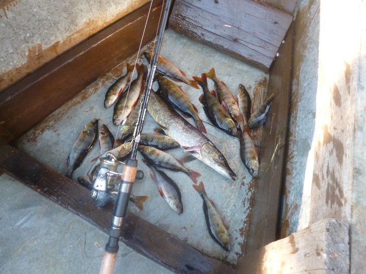 P1010671.JPG (275.87 КБ) 5402 просмотра P1010671.JPG