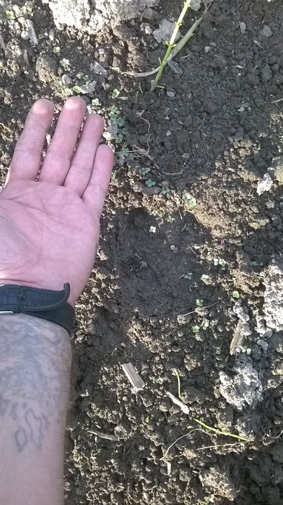 WP_20160805_18_47_33_Pro.jpg