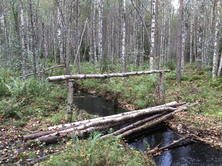 мостик.jpg