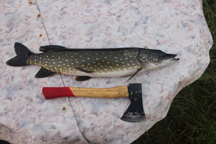 YQkQUvewoaM.jpg