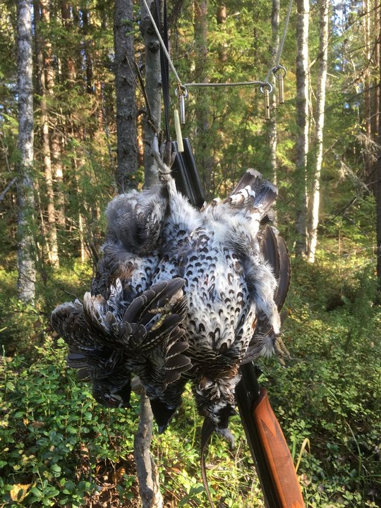 На вечерней зорьке.jpg (690.43 КБ) 3322 просмотра На вечерней зорьке