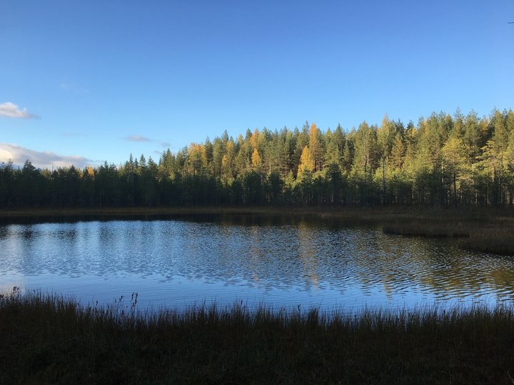 Ламбушка на закате.jpg (279.41 КБ) 3736 просмотров Ламбушка на закате