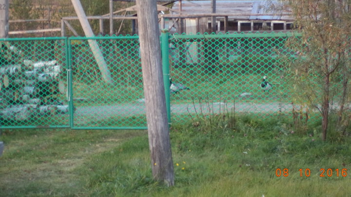 DSC01758.JPG