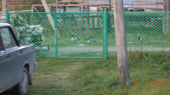 DSC01759.JPG