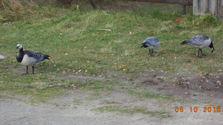 DSC01765.JPG