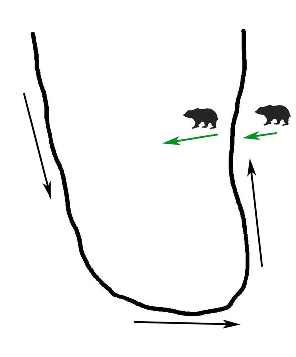02.jpg