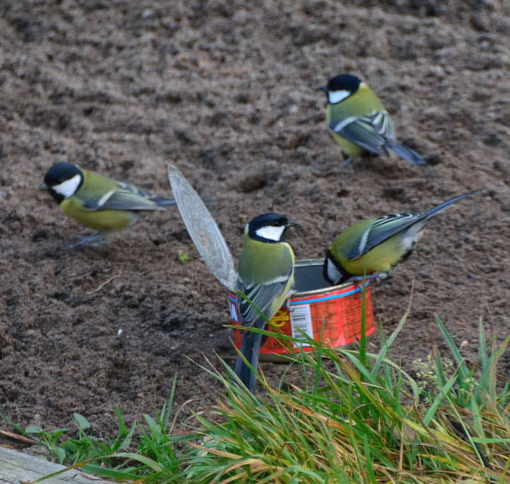 DSC_3779.jpg