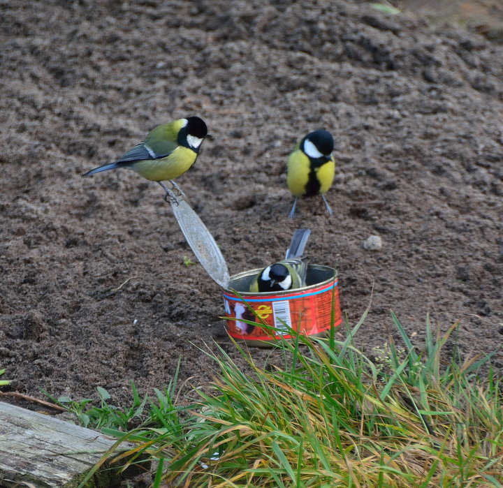 DSC_3784.jpg