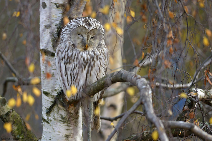 DSC_6454.jpg