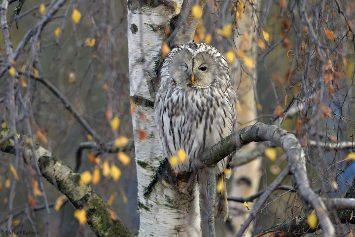 DSC_6416.jpg