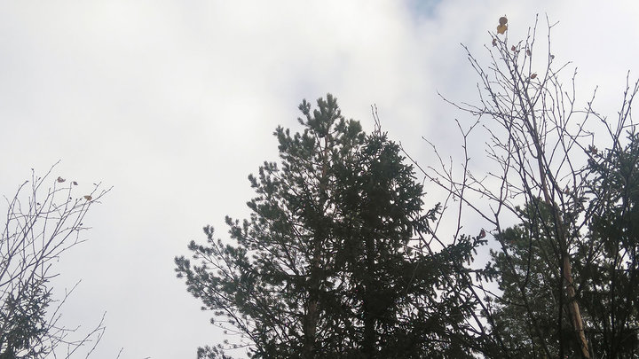 DSC_4157.jpg