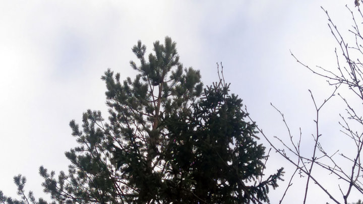 DSC_4158.jpg
