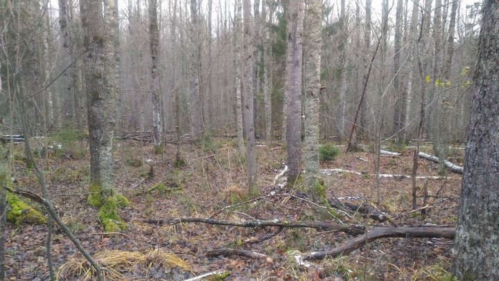 P_20161028_104739.jpg