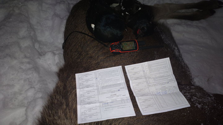 2014-12-05-2021.jpg