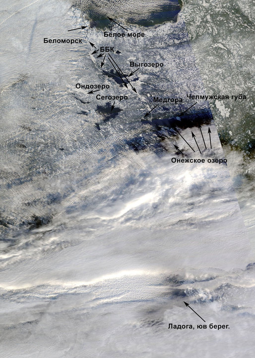Arctic_r01c05.2016314.terra.jpg