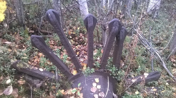 фиговина.jpg
