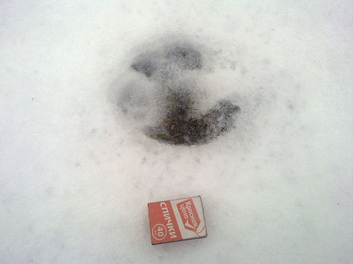 201120161551.jpg
