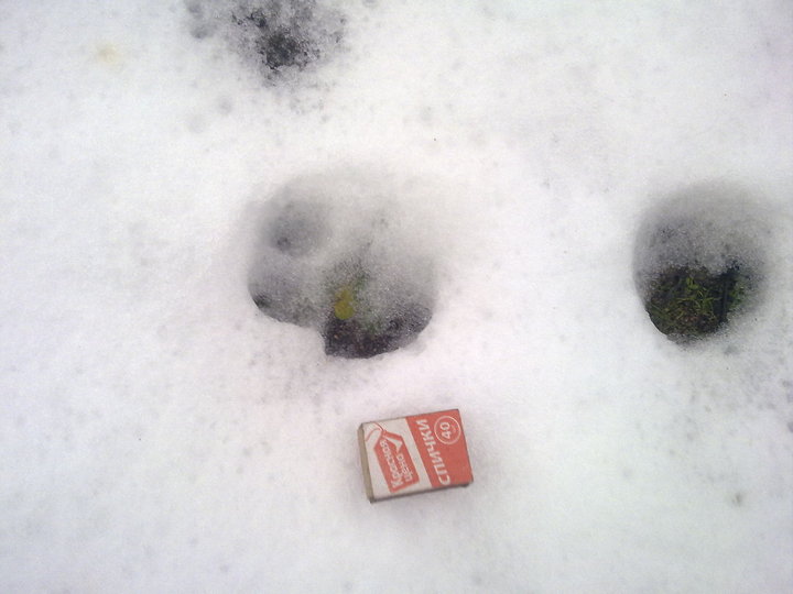201120161555.jpg