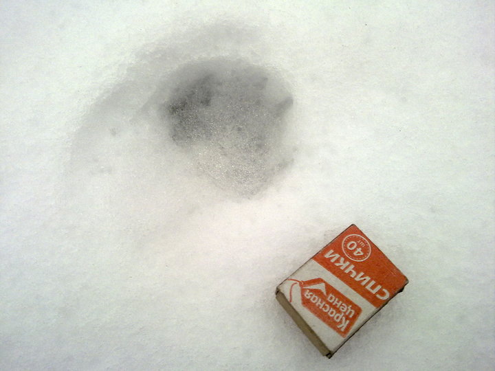 201120161557.jpg