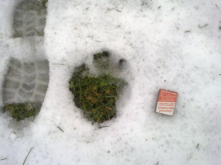 201120161559.jpg