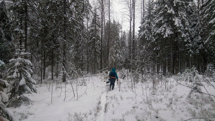 DSC_0073.jpg