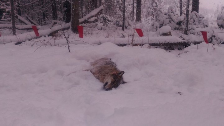 P_20161129_120437.jpg