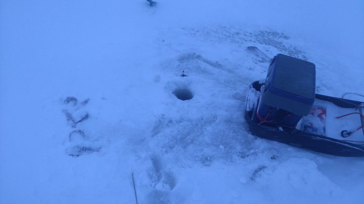 DSC_0009.JPG