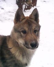 IMG0015A.jpg