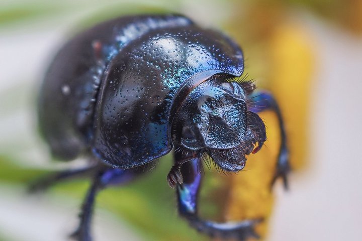 MafmDeAToKI.jpg (164 КБ) 4982 просмотра MafmDeAToKI.jpg