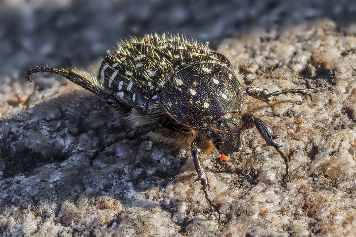 xFWYz3l4Apo.jpg (361.76 КБ) 4979 просмотров xFWYz3l4Apo.jpg