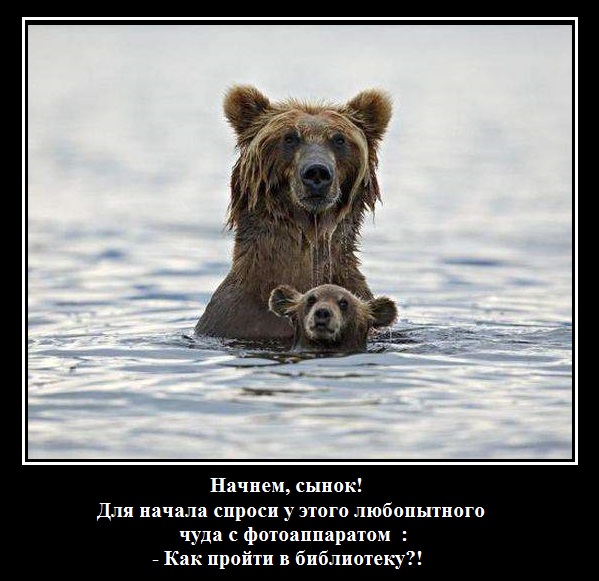 06204154d.jpg