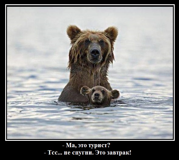 иурист.jpg