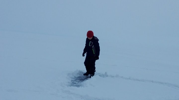 IMG_20170115_122127.jpg