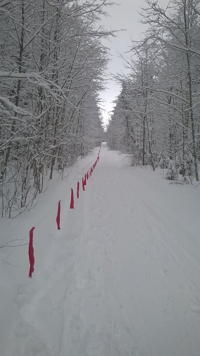WP_20170116_13_44_34_Pro.jpg