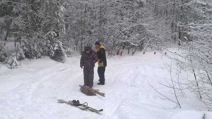 WP_20170116_14_10_23_Pro.jpg