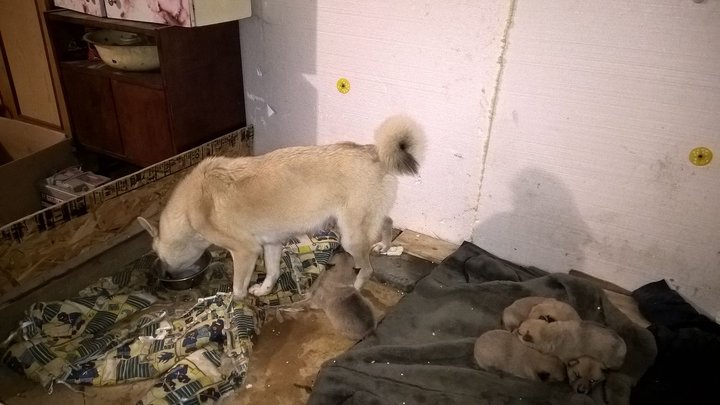 WP_20170120_20_08_16_Pro.jpg