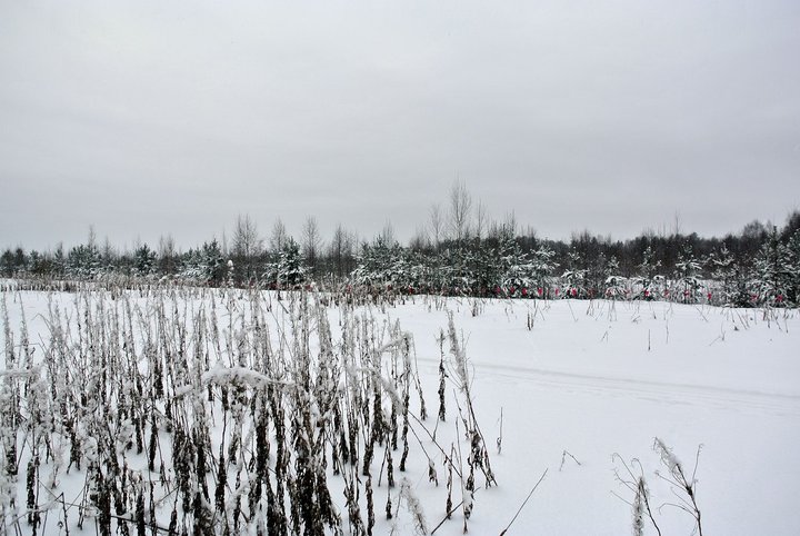 DSC_4213.JPG